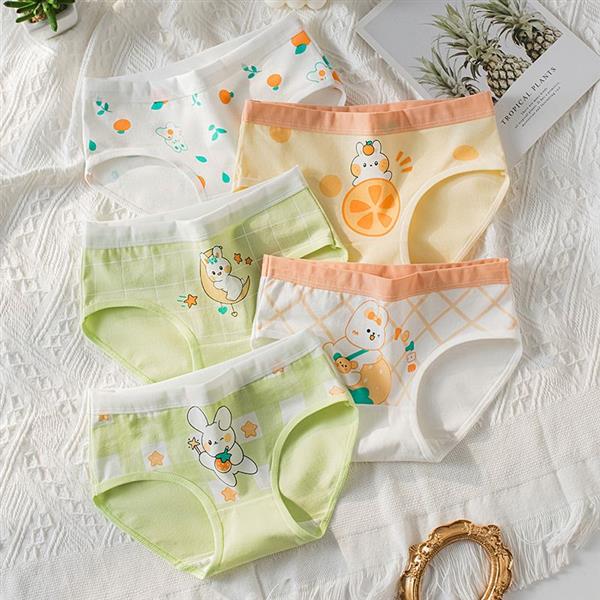 پک پنج عددی شورت خرگوش و میوه رنگبندی لیمویی و سبز کد 20881